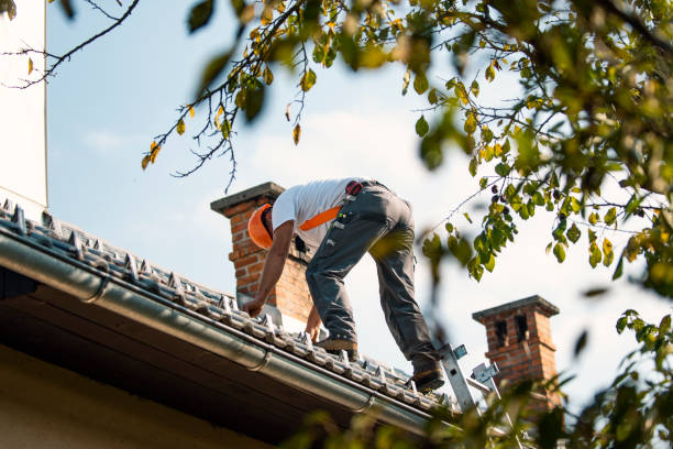 Best Metal Roofing Contractor  in Monte Vista, CO