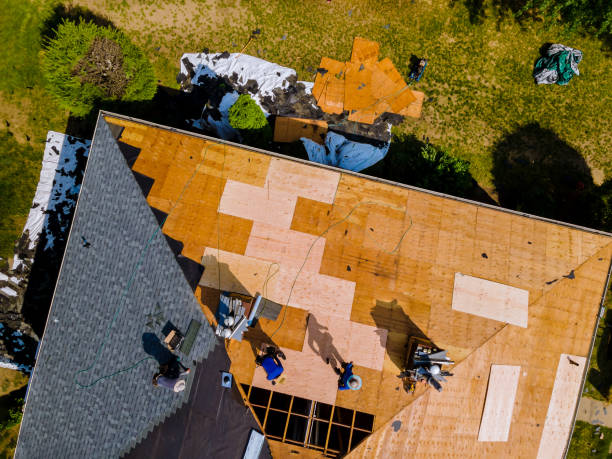 Best Roof Waterproofing Services  in Monte Vista, CO