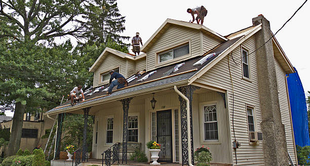 Best Tile Roofing Contractor  in Monte Vista, CO