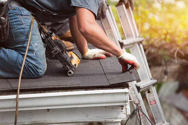Best Metal Roofing Contractor  in Monte Vista, CO